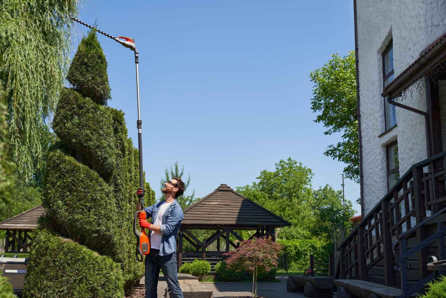 Residential Tree Removal in Tarkio, MO